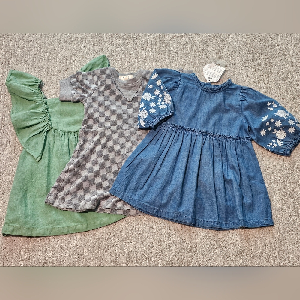 18 Month Dress Bundle